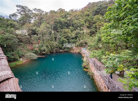 ¡Sumérgete en la Historia y la Naturaleza Exuberante del Parque Paisajístico Dinghu Shan!