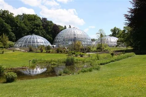  El Jardín Botánico de Zürich: Una Oasis Verde en el Corazón de la Ciudad!